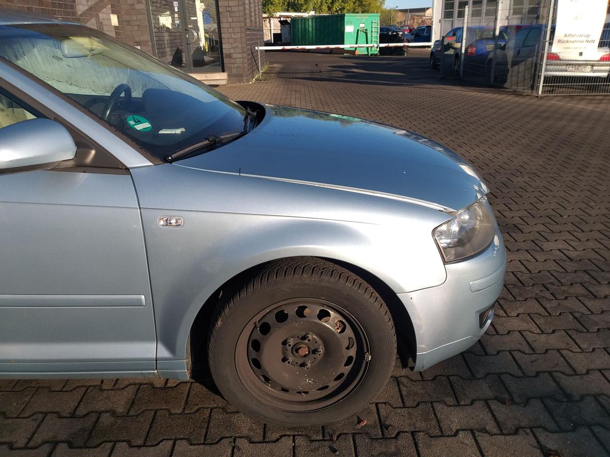 Audi A3 8P original Kotflügel vorn rechts LY5J Liquidblau Bj.2004