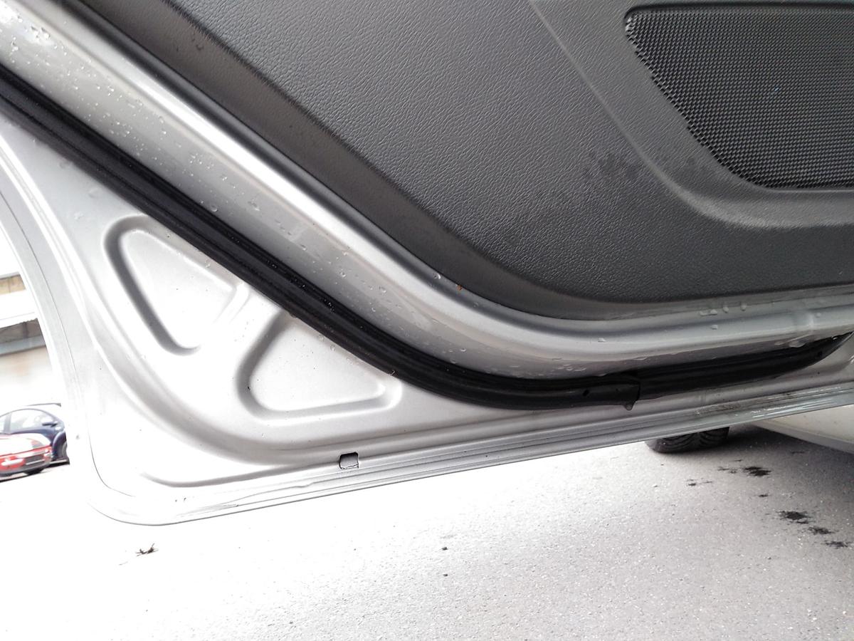 Ford C-Max 1 DM2 T&uuml;r hinten links polarsilbermetallic Bj.2006
