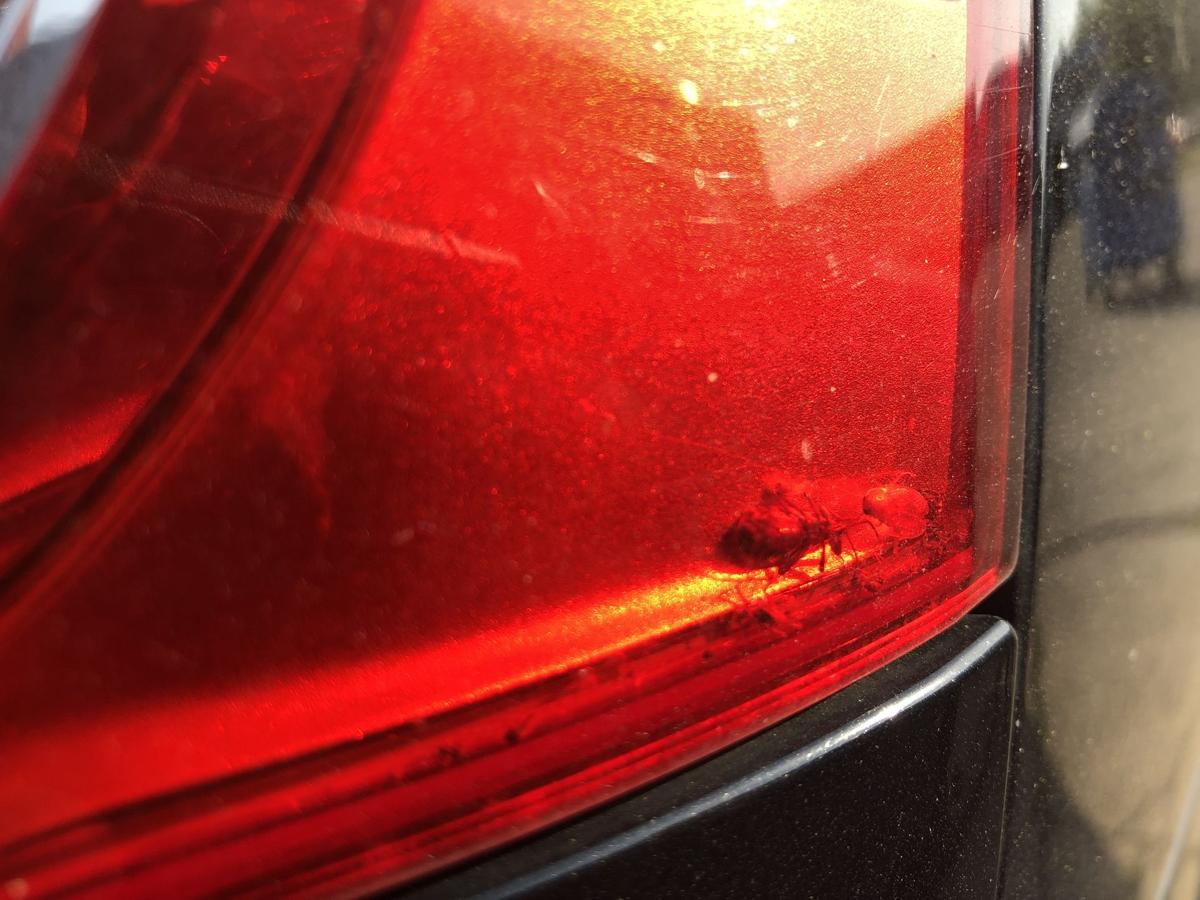 VW Jetta 1K Rückleuchte rechts außen Ecke Heckleuchte LED Schlusslicht