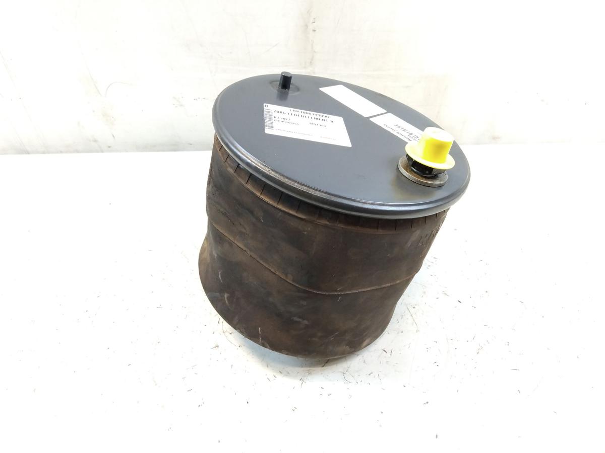 Renault Truck E-Tech ZE D-Wide original Luftfederbalg Federelement vorn Bj.2022