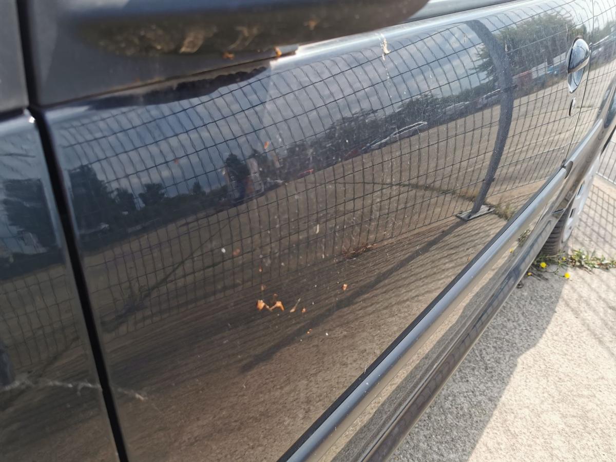 Citroen C1 P Fahrertür Tür Autotür Rohbautür vorn links EXZ Schwarz Met 5 Türer