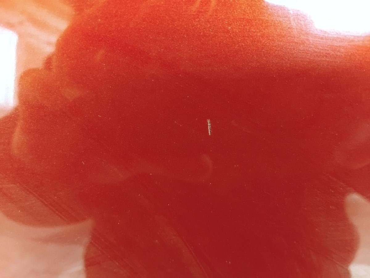 Nissan Tiida C11 T&uuml;r hinten links NAC New Red Metallic 5-t&uuml;rig Schr&auml;gheck BJ2009