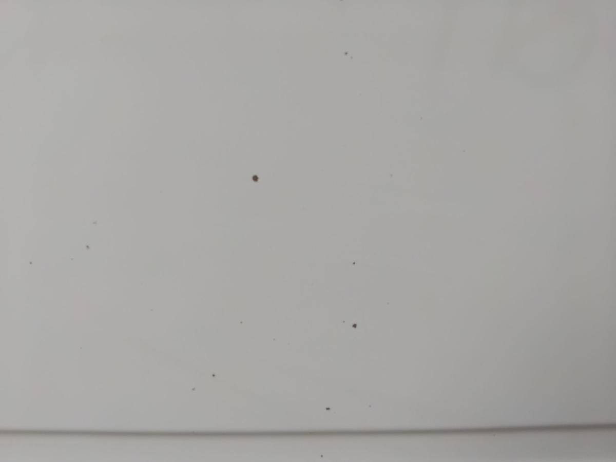 Mercedes Benz Vito 638 Kastenwagen Heckklappe arktikweiss 9147 BJ2003 Mängel