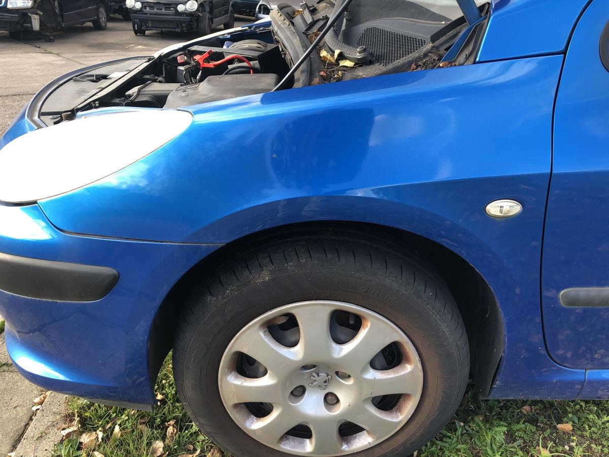 Peugeot 307 3A 3C Kotflügel vorn links Fender KMF blau