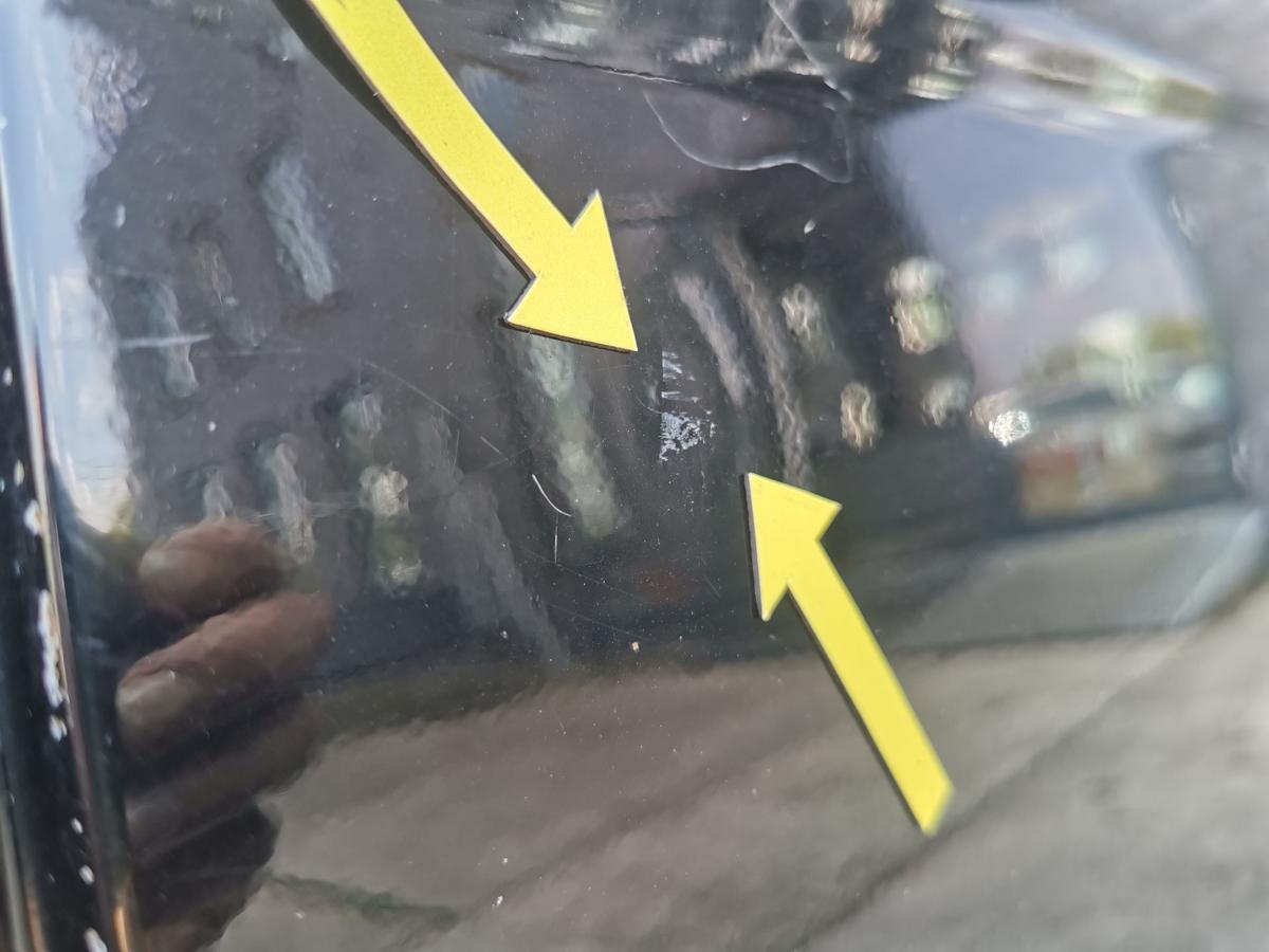 Hyundai Trajet FO Tür Autotür Rohbautür Fondtür hinten links EB Ebony Black Roh