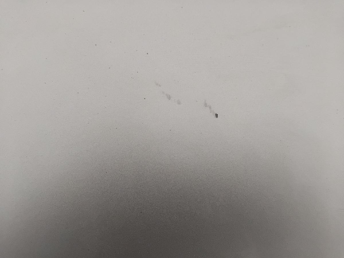 Peugeot 308 I Heckklappe aschgraumetallic ETS mit Scheibe BJ2009 Delle