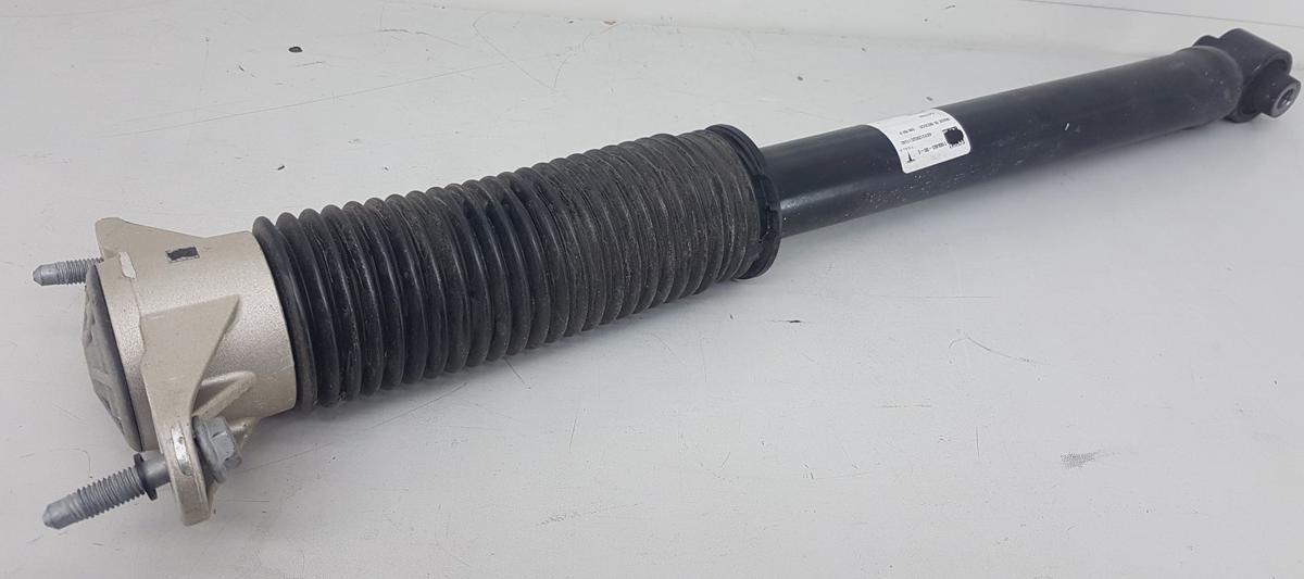 Tesla Model Y Sto&szlig;d&auml;mpfer Hinterachse Bj2022 Dualmotor Performance 1188465-00-E