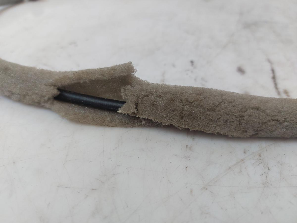 Ford Fiesta HF MK8 Türkantenschutz hinten links Mechanik Door Edge Guards