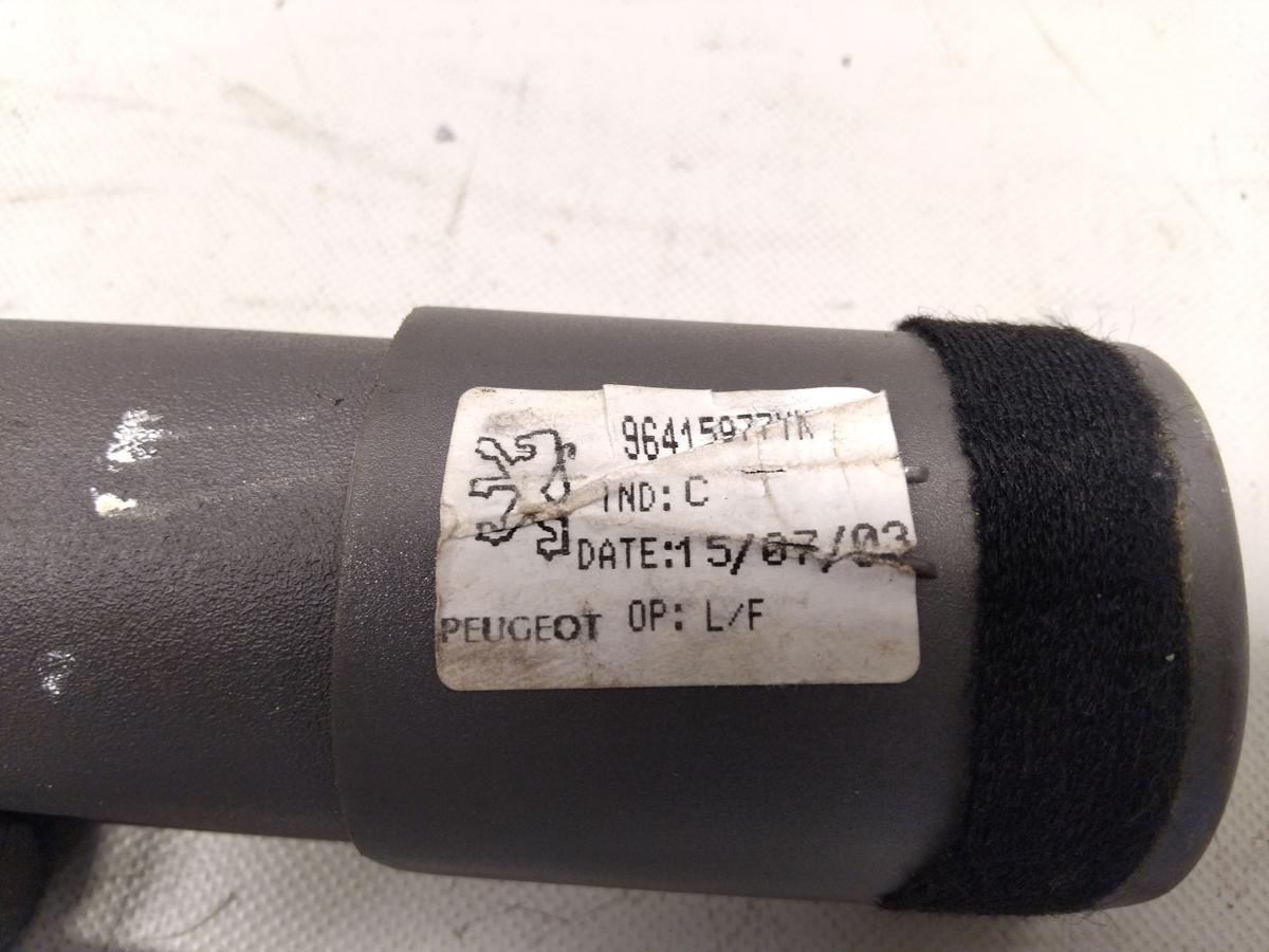 Peugeot 206SW original Laderaumrollo Abdeckung Kofferraum BJ2003 96415977