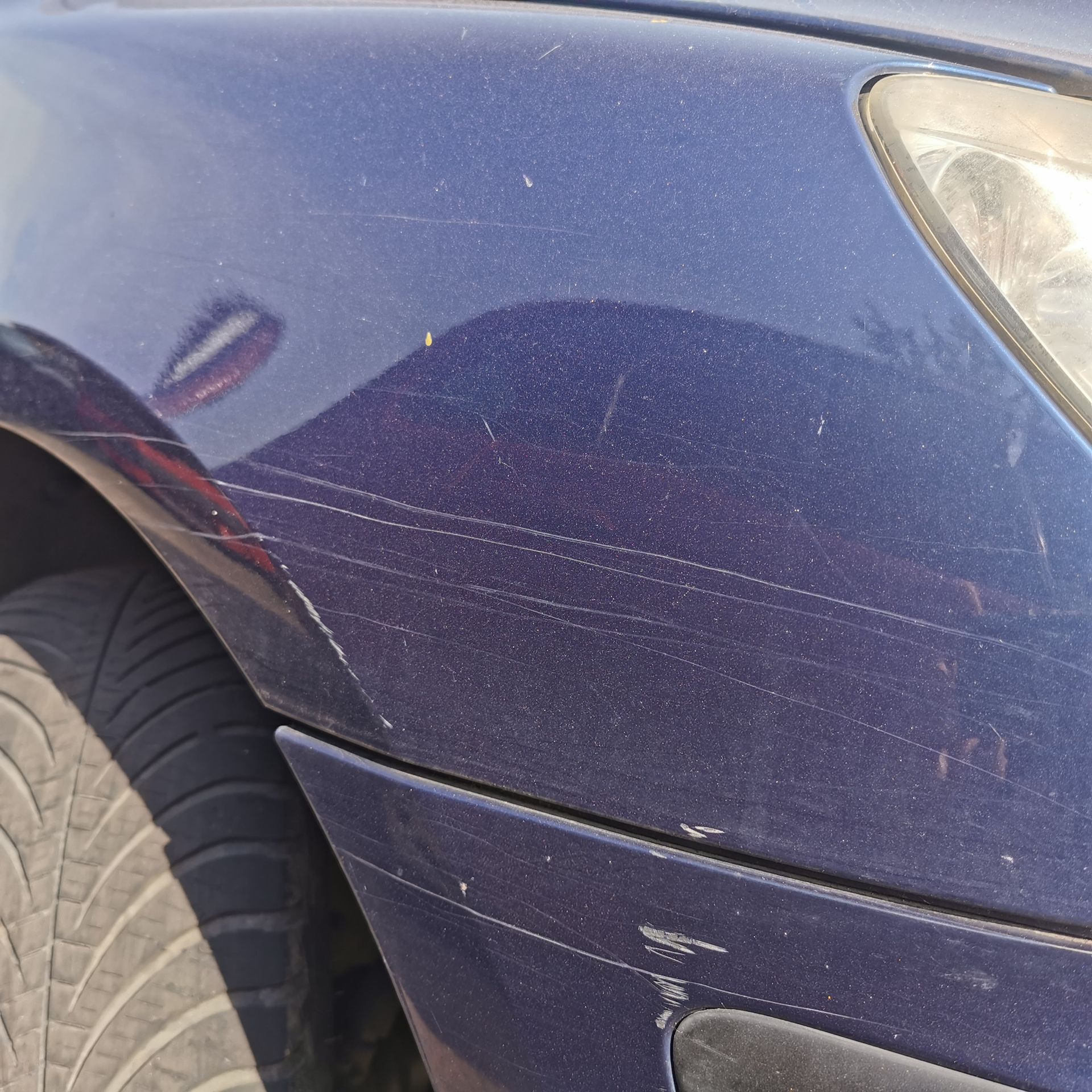 Peugeot 307 3A/3C Kotflügel Fender vorn rechts EGE China Blau Met