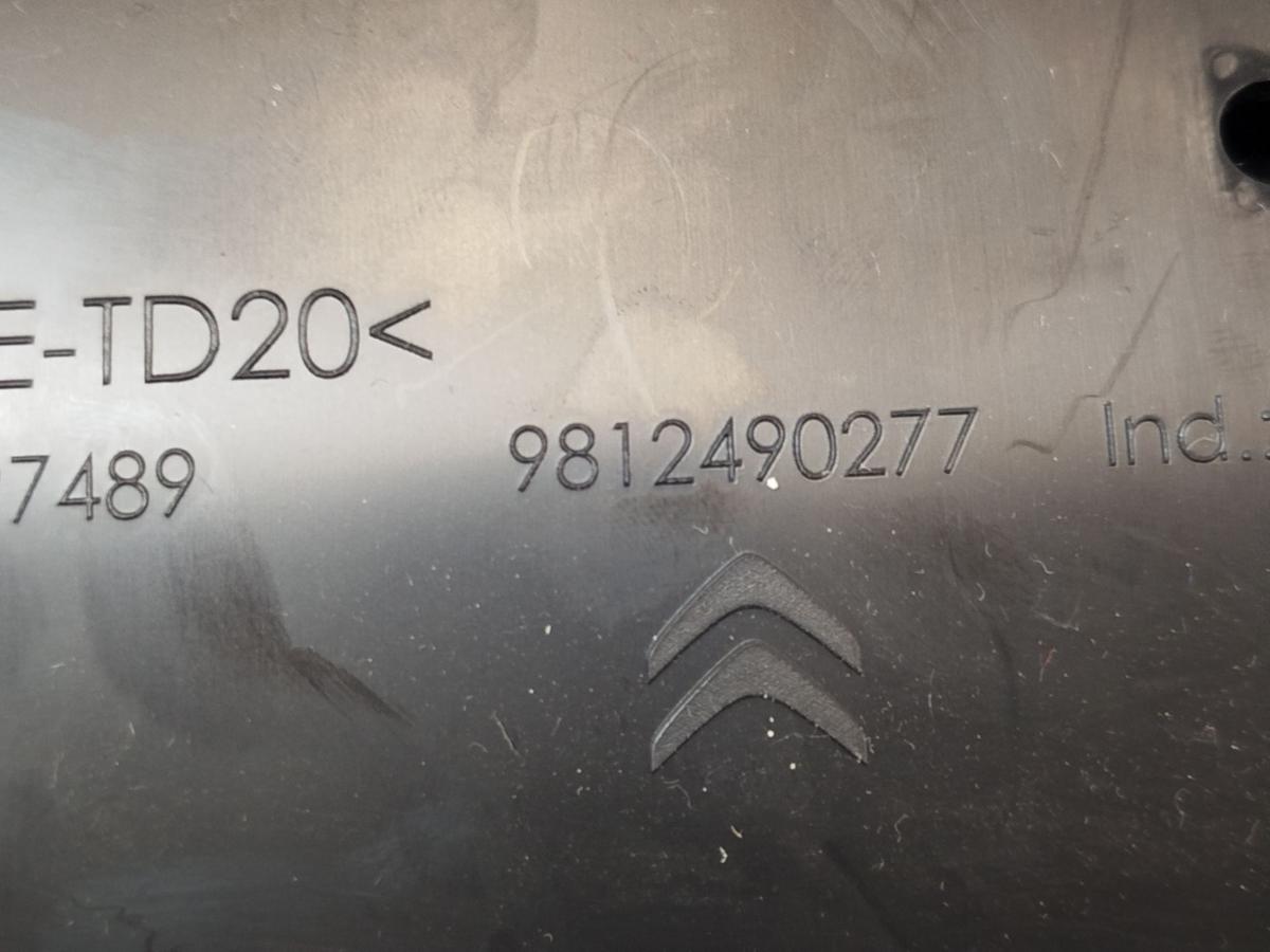 Citroen C3 III SX ab17 Handschuhfach Handschuhkasten Schalttafelkaste OEM