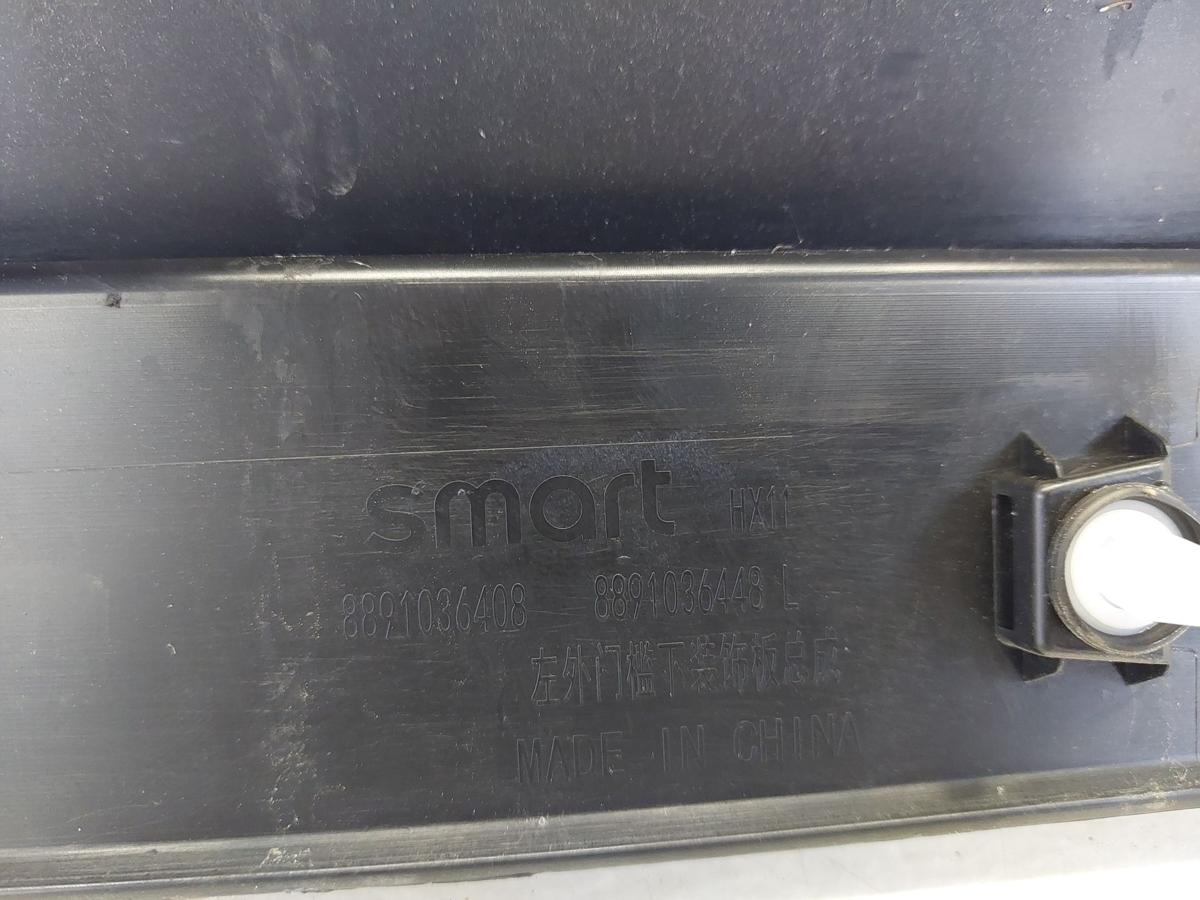Smart #1 HX11 Pulse Verkleidung Blende Abdeckung Seitenschweller links außen