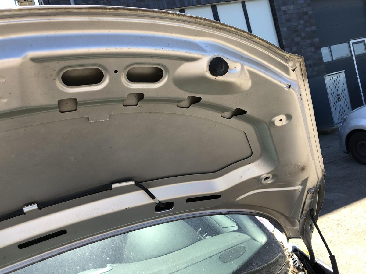 Peugeot 207 WA WC Motorhaube Haube Klappe Deckel vorn EZR Aluminiumgrau