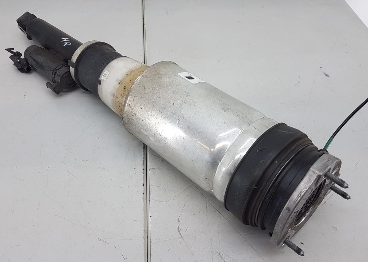 Tesla Model X Luftfederbein hinten rechts Bj2022 1620466-99-D Modell ab Bj2021
