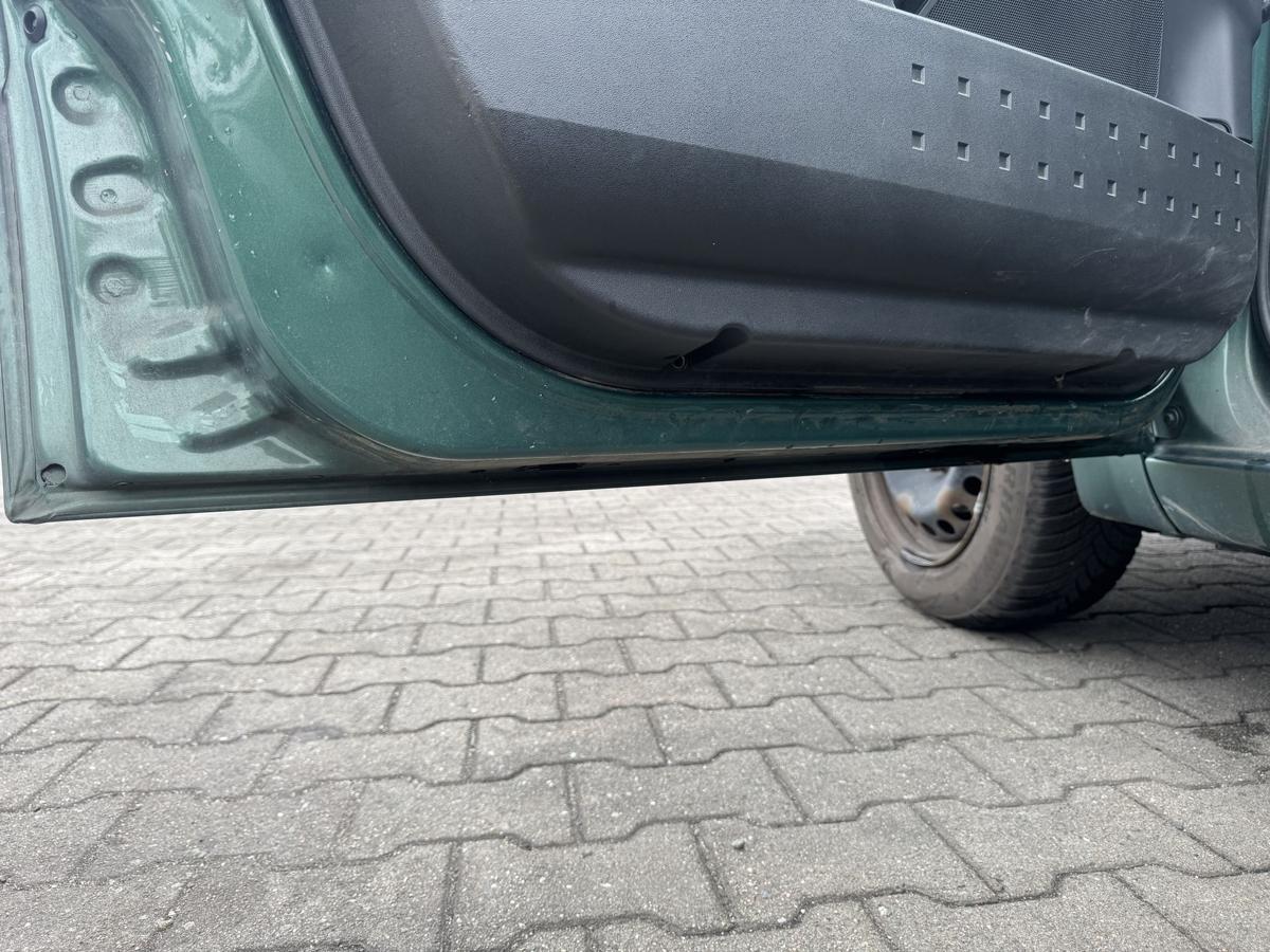 Renault Megane 2 original T&uuml;r vorn links D96 Vert Giverny Metallic Rohbau Bj.2004