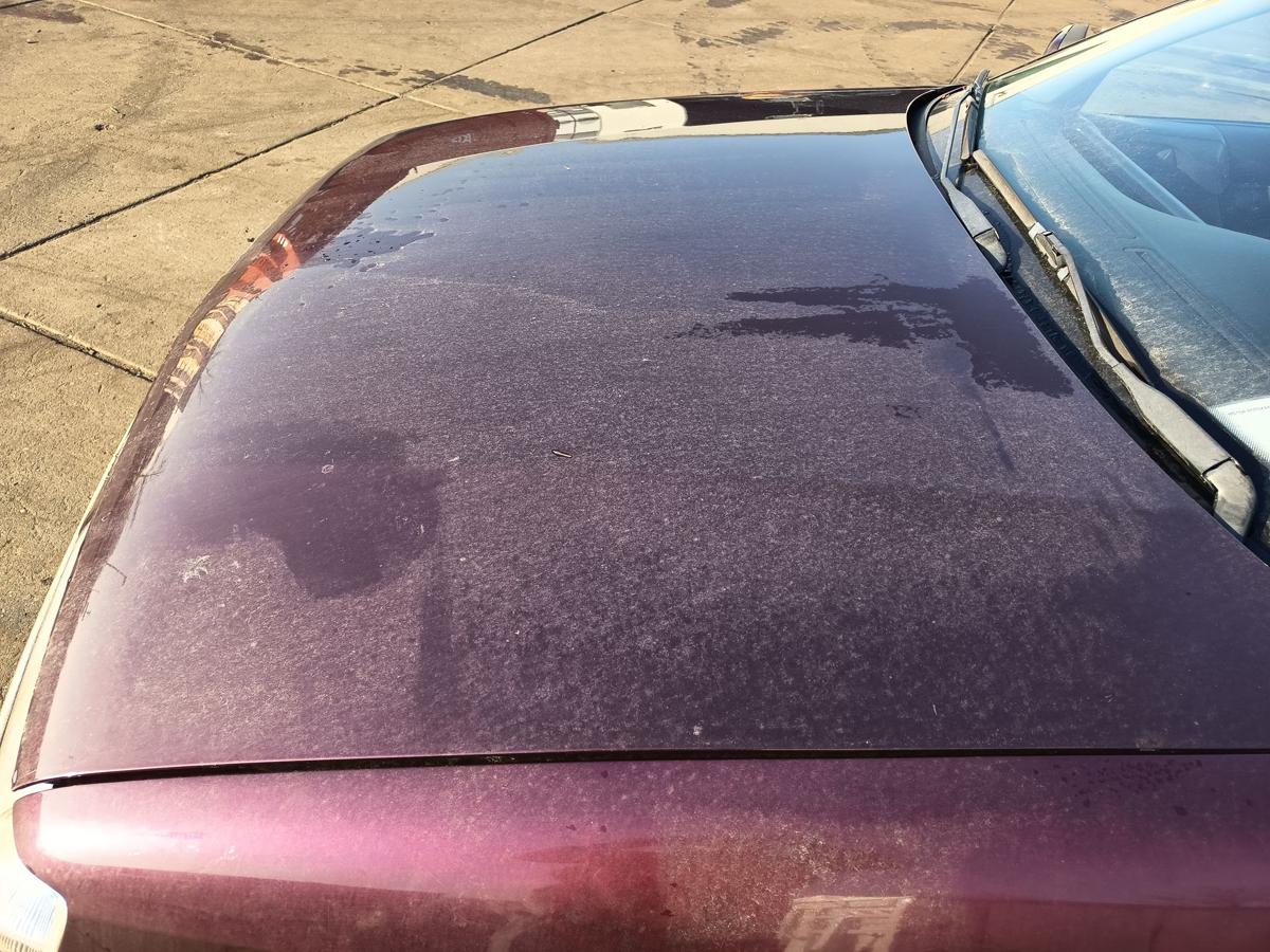 Citroen Xantia X1 original Motorhaube Klappe Deckel vorn KJN Impulsionrot Bj1996