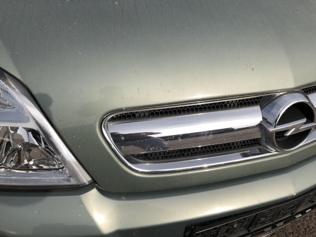 Opel Signum F48 Motorhaube Haube Klappe Deckel Grill K&uuml;hlergrill 3LU Bambusgr&uuml;n