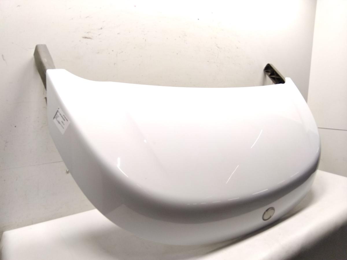StreetScooter Work B16 Bj.2017 original Motorhaube weiss
