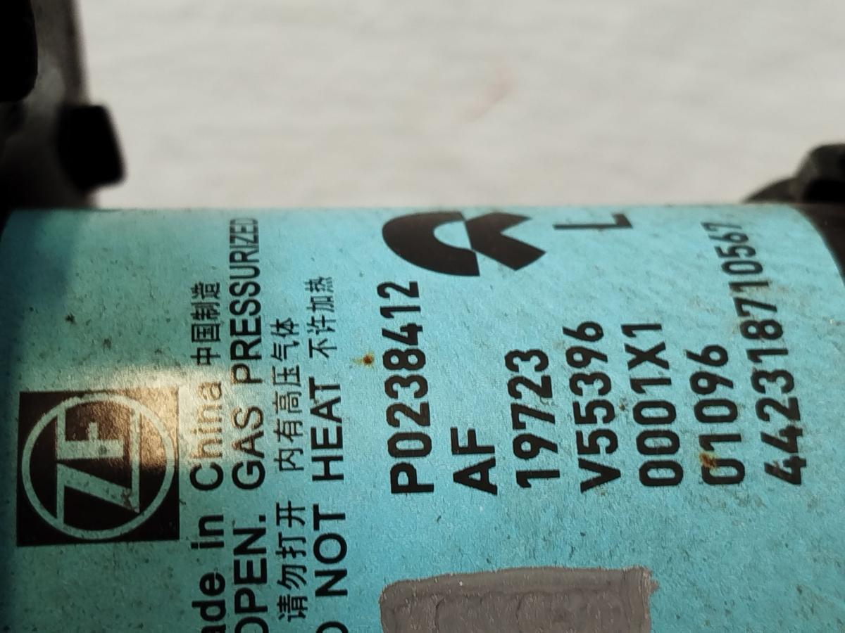 NIO EL6 Elektro SUV Federbein vorn links Sto&szlig;d&auml;mpfer Schraubenfeder Vorderachse