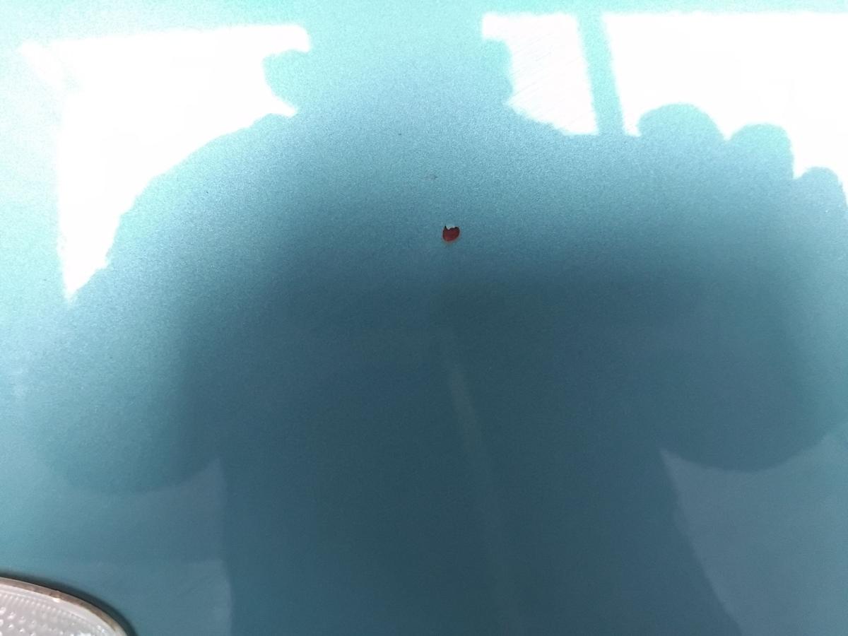 Suzuki Splash EX original Kotflügel vorn rechts ZKC Splash Turquoise BJ2008