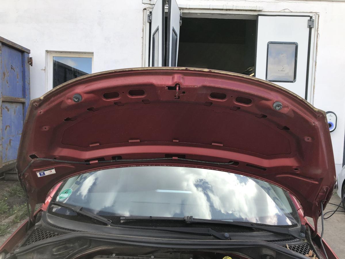 Peugeot 207 WA WC Motorhaube Haube Klappe Deckel vorn KJC Rouge Erythree Nacre