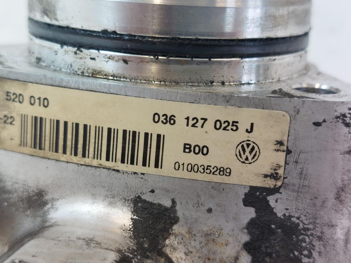VW Golf 4 Bora 1J Kraftstoffpumpe Benzinpumpe Hochdruckpumpe Bosch 81kw BAD