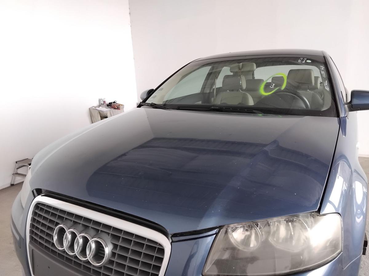 Audi A3 8P Motorhaube Deckel vorn LZ5C Mauritiusblau Singleframe Facelift BJ2006