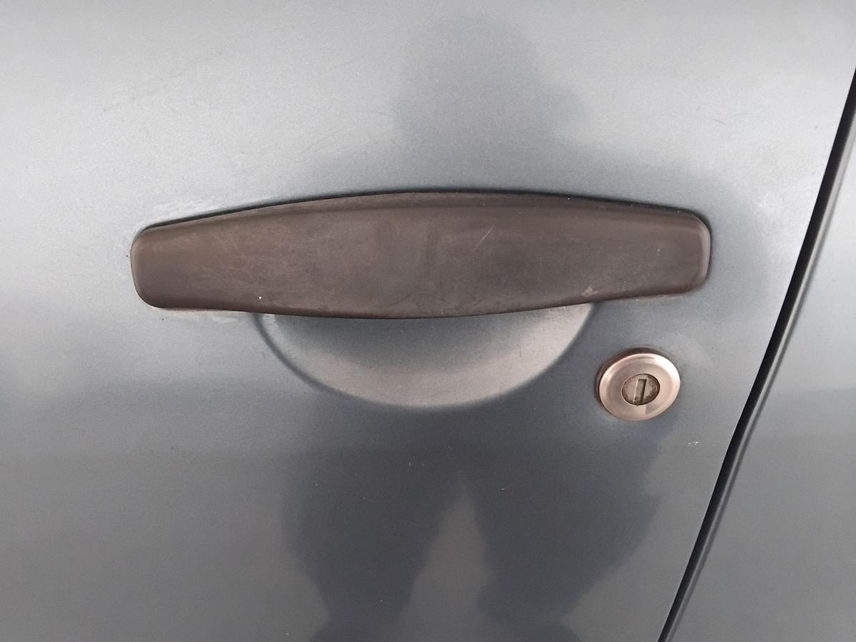 Dacia Sandero 1 Tür vorn links Fahrertür blaumetallic TERNF BJ2009
