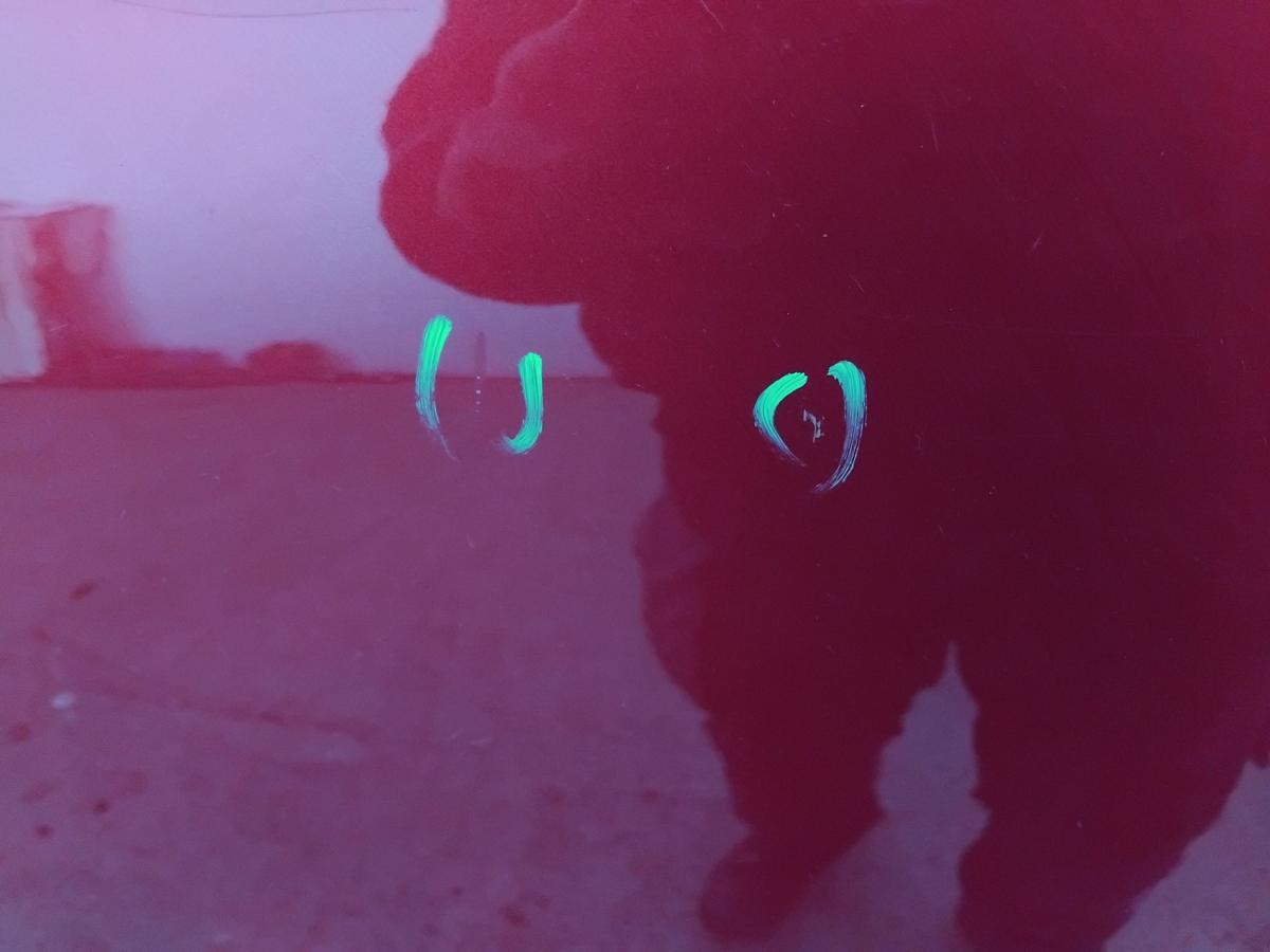 Dacia Sandero 1 Stepway T&uuml;r hinten links TEB76-Rouge de Feu BJ2010