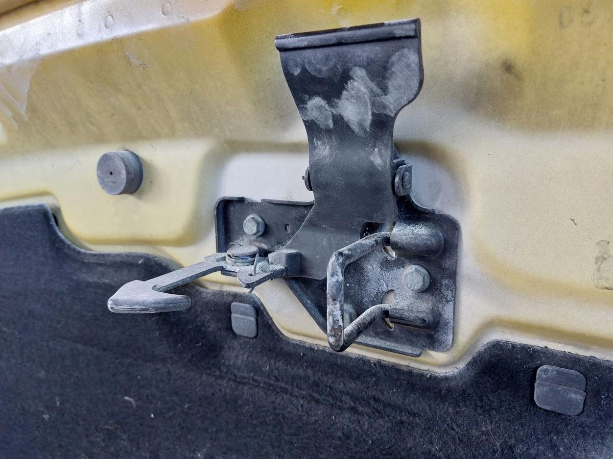 VW T5 7H Motorhaube Haube Klappe Deckel vorn bis 05 alle Modelle Bilder beachten