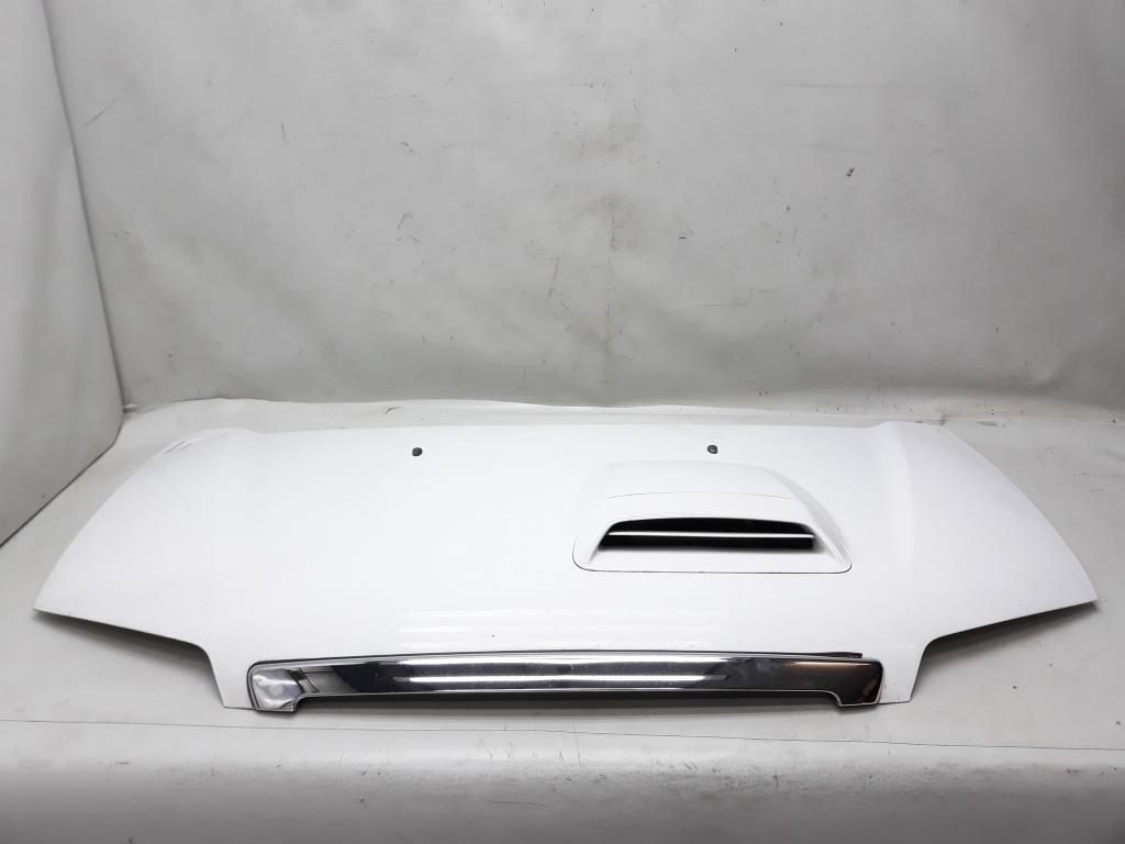 Hyundai Starex H1 BJ 2004 original Motorhaube Klappe Deckel vorn