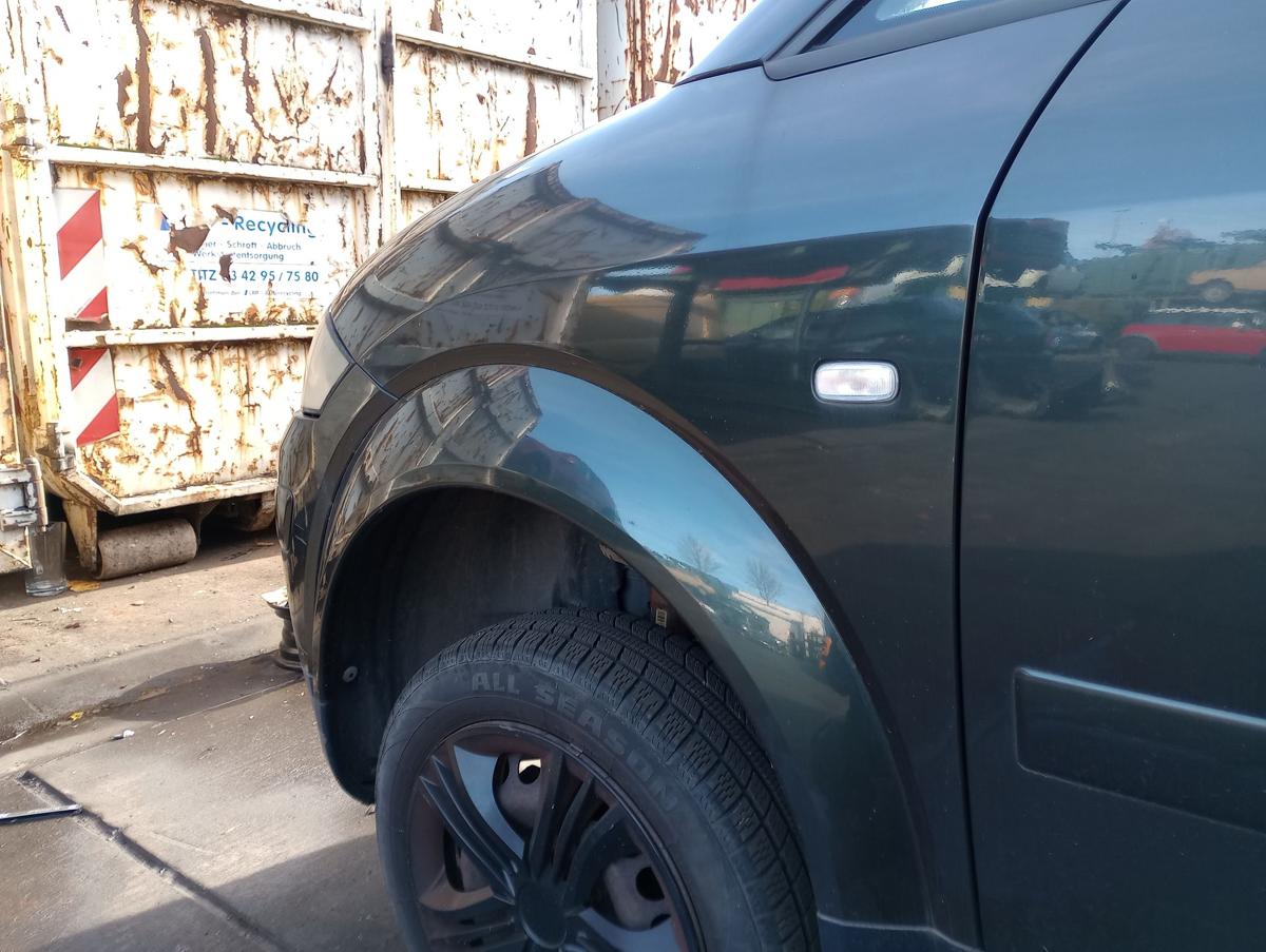 Audi A2 original Kotflügel links LZ6S Piniengrün Baujahr 2001