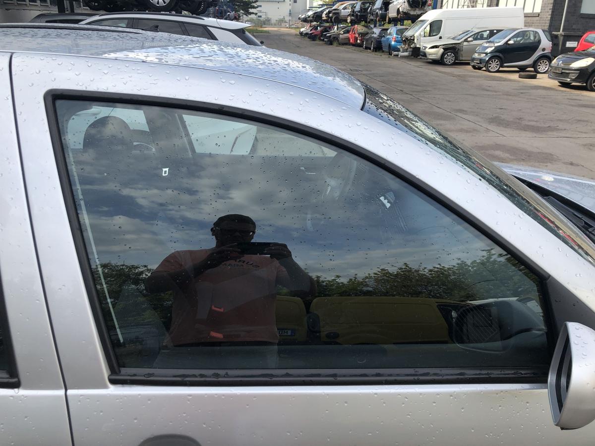 VW Golf 4 IV 1J T&uuml;rscheibe vorn rechts Scheibe Colorglas 5 t&uuml;rer Seitenscheibe