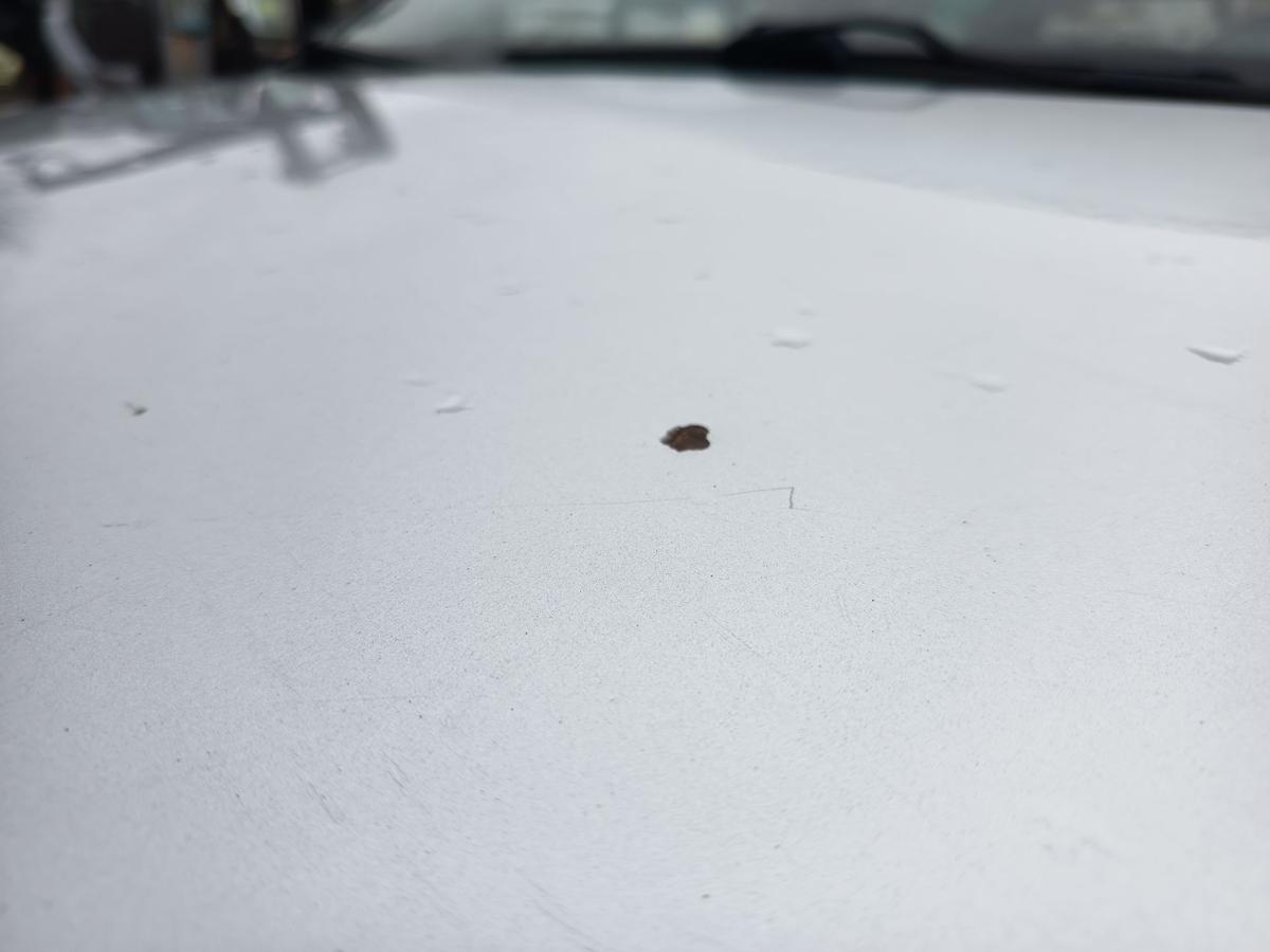 VW Polo III 6N2 Motorhaube Klappe Deckel vorn Front A7W Reflexsilber Bj 2001