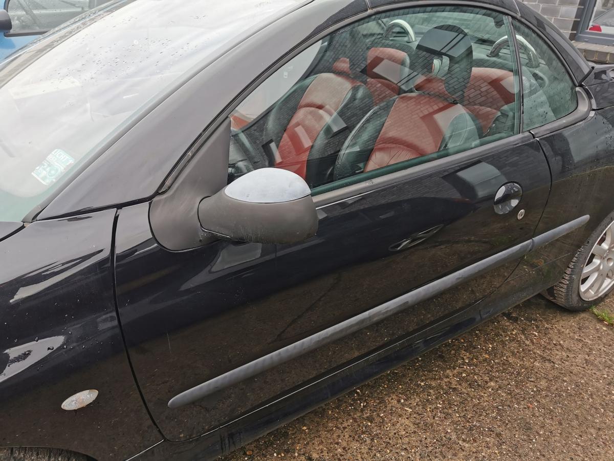 Peugeot 206 CC Fahrertür Tür Autotür vorn links Rohbautür EXY Onyxschwarz