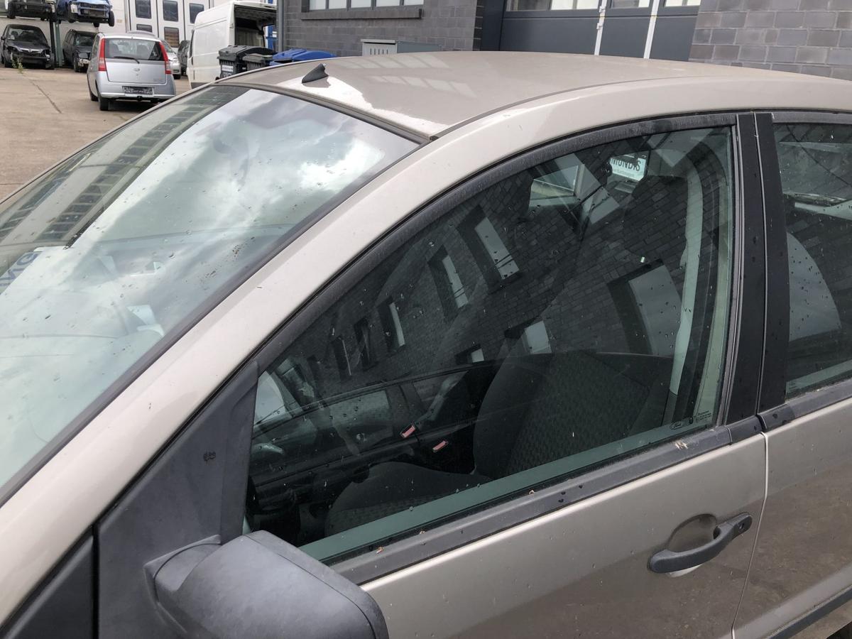 Ford Fusion JU2 Tür vorn links Fahrertür im Rohbau Sahara Metallic