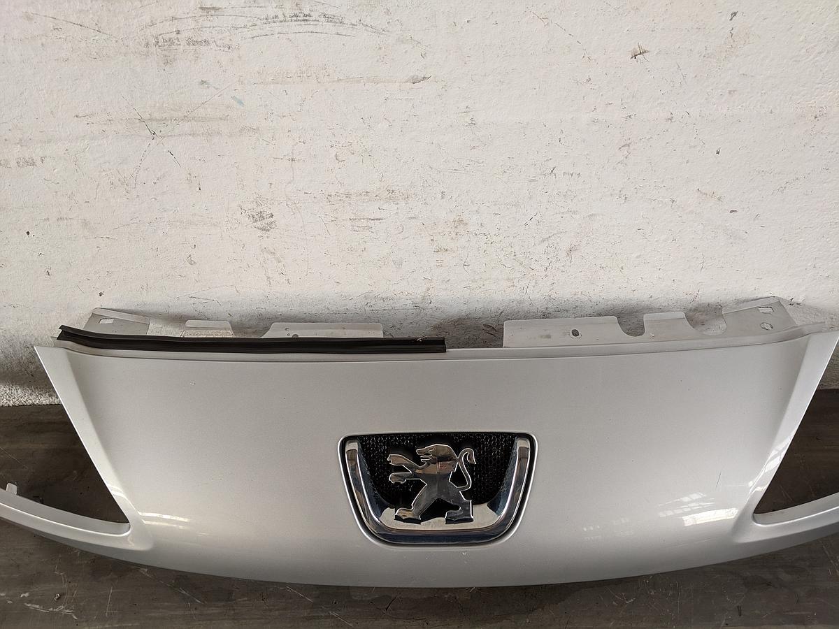 Peugeot 1007 original Frontmaske Grill 9646173877 EZR silber