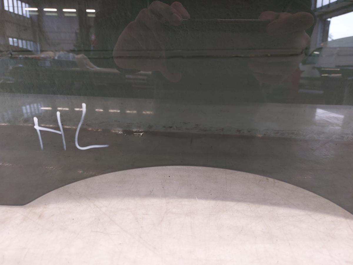Tesla Model Y Juniper T&uuml;rscheibe hinten links Fondt&uuml;r Scheibe VSG Glas get&ouml;nt