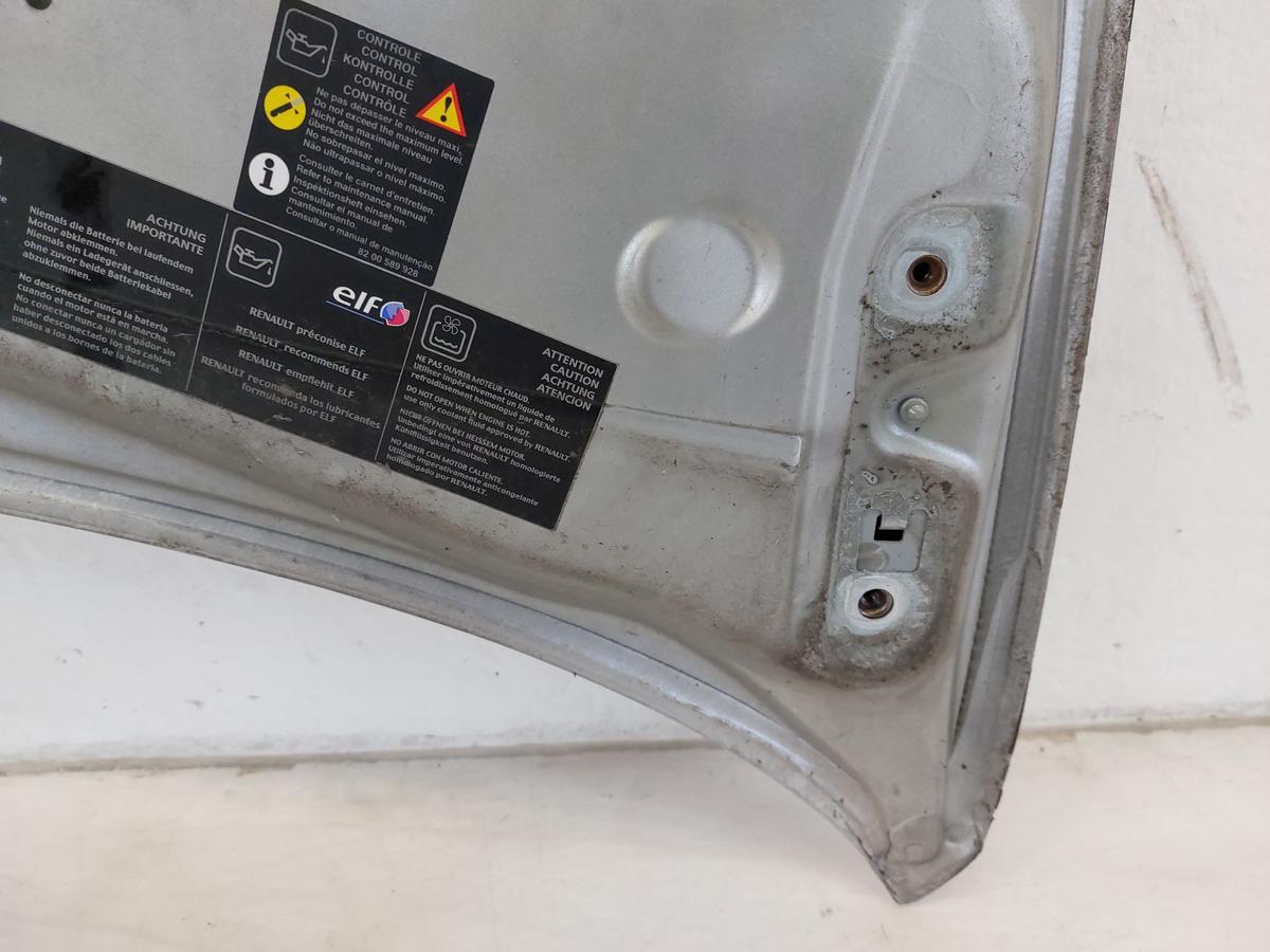 Renault Twingo 2 II CN GT Motorhaube Haube Klappe Deckel vorn TED69 Gris Platine