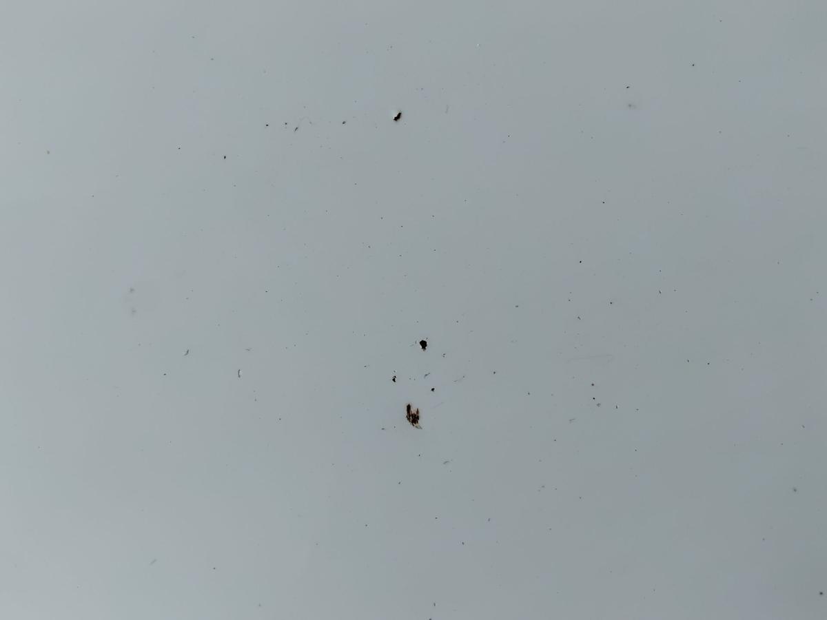 Hyundai i30 CW Kombi FD Motorhaube Deckel vorn weiss 7F crystal white uni BJ2010