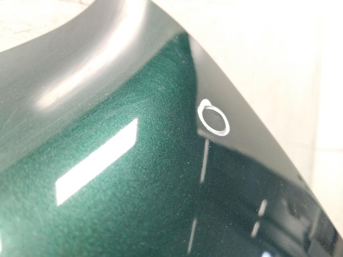 VW Golf 4 1J original Kotfl&uuml;gel vorn links LC6M Brightgreen BJ2003