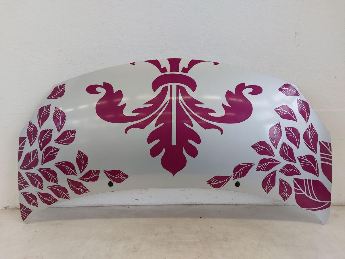 Renault Twingo 2 II CN GT Motorhaube Haube Klappe Deckel vorn TED69 Gris Platine