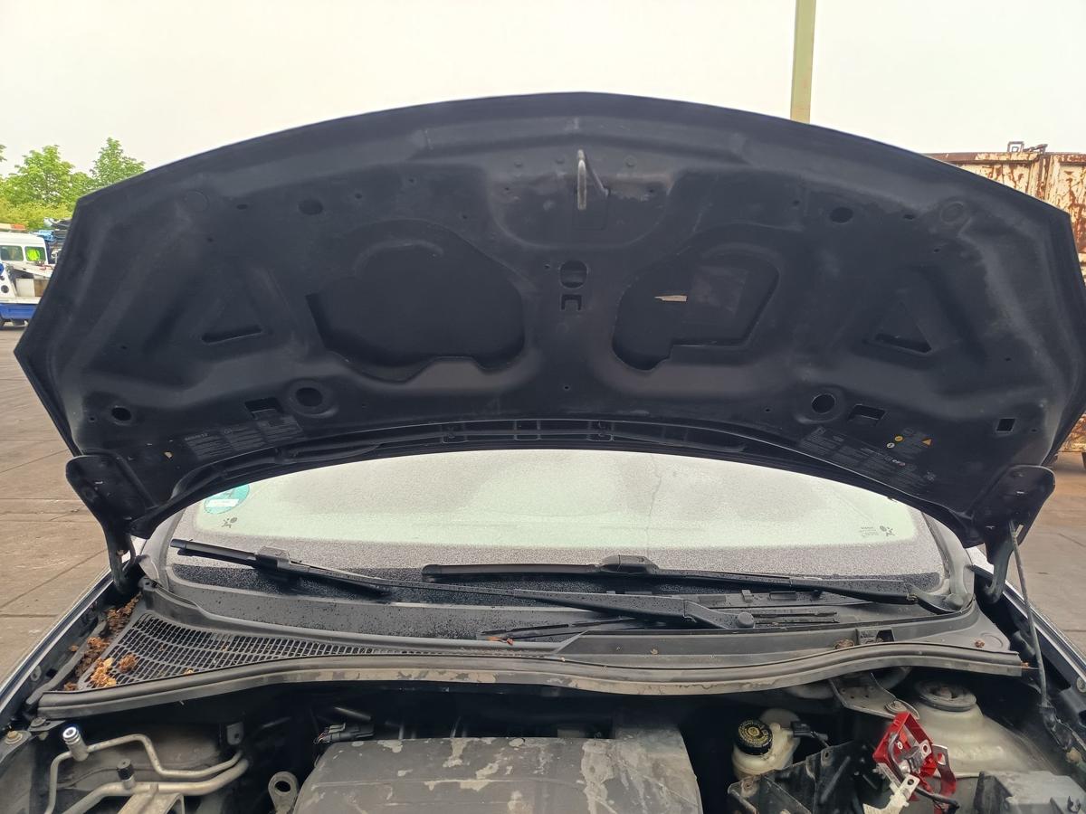 Renault Twingo II original Motorhaube Klappe Deckel Front 676 Perlmuttschwarz