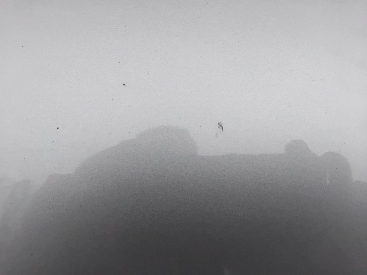 BMW 1er E87 Tür vorn links Fahrertür 5-türig A18 Quarzblau Metallic BJ2006