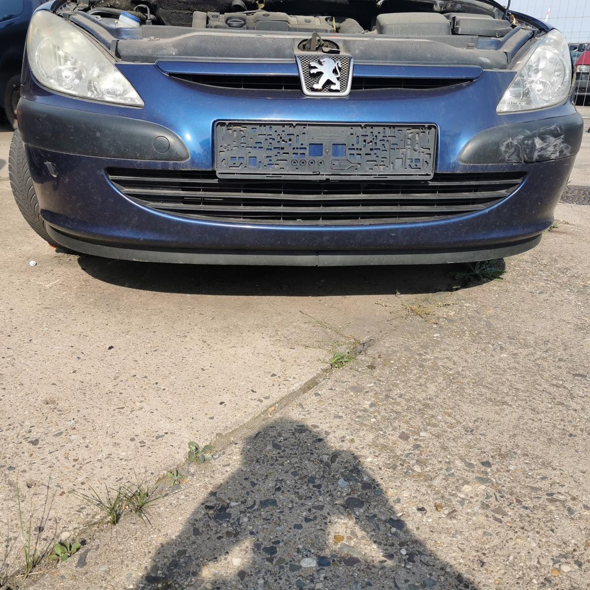 Peugeot 307 3A/3C Stoßstange Stoßfänger Bumper vorn EGE China Blau BILDER