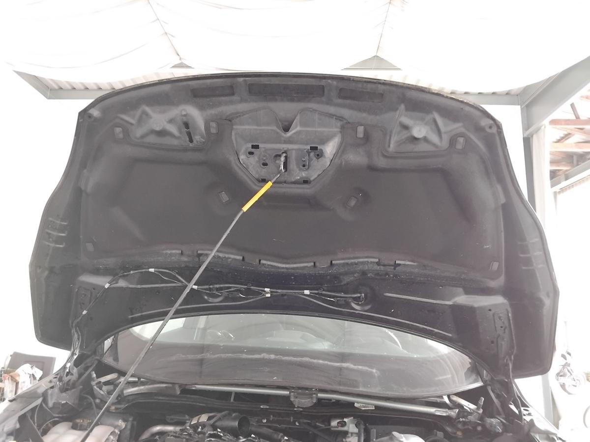 Ford C-Max 2 original Motorhaube Deckel vorn Panther-Schwarz Metallic BJ2012