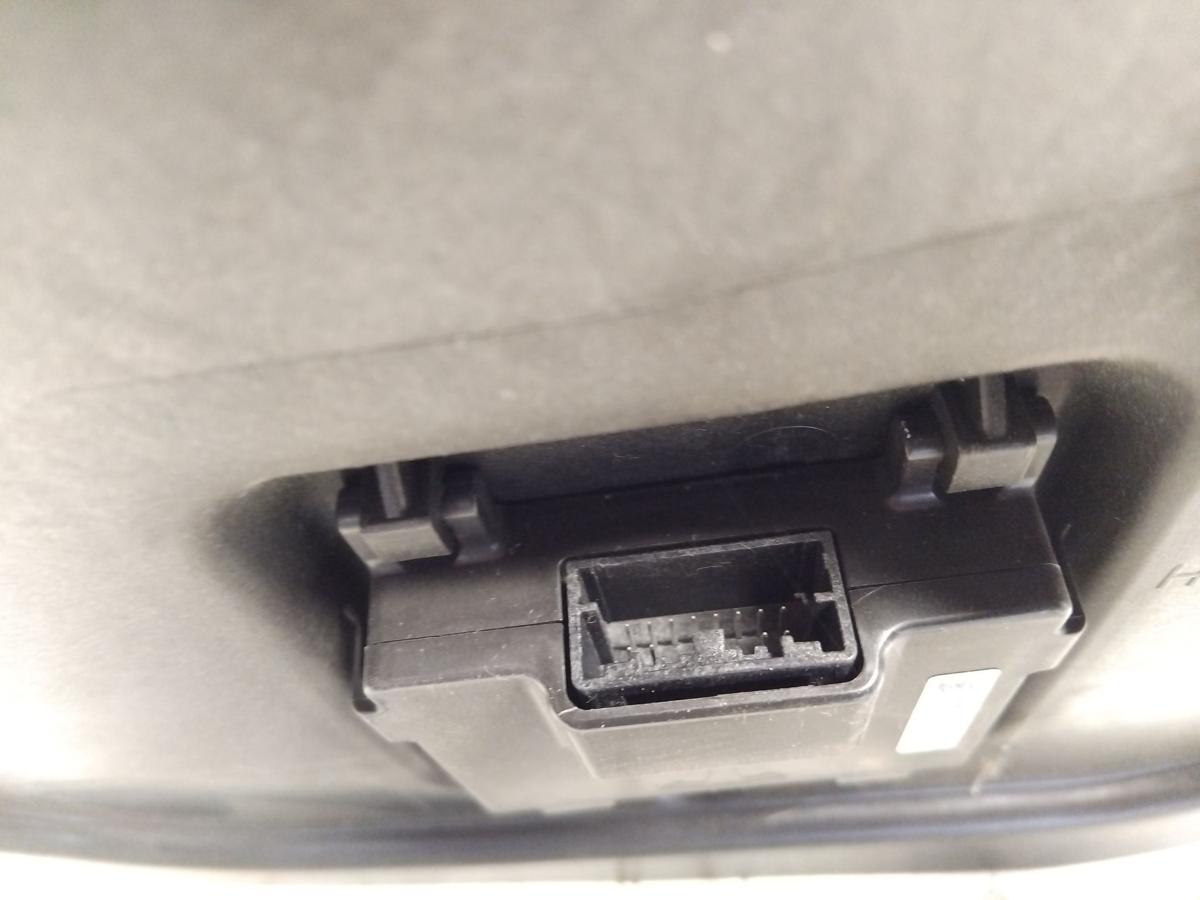 Tesla Model S original Plastikabdeckung T&uuml;r vorn links mit T&uuml;rgriffmodul Bj.2019