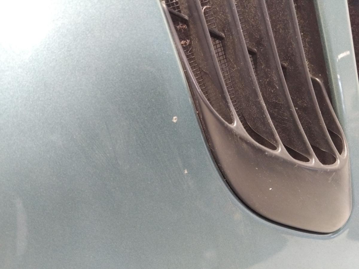 Peugeot 206 original Motorhaube hellgrünmetallic romarin BJ1999