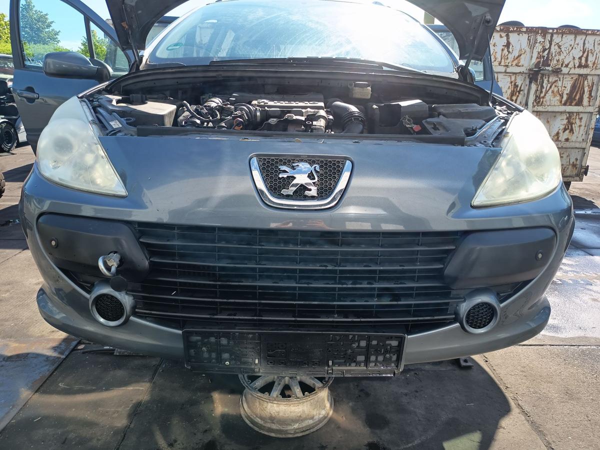 Peugeot 307 original Sto&szlig;stange F&auml;nger vorn Front EZW Eisengrau Bj 2006