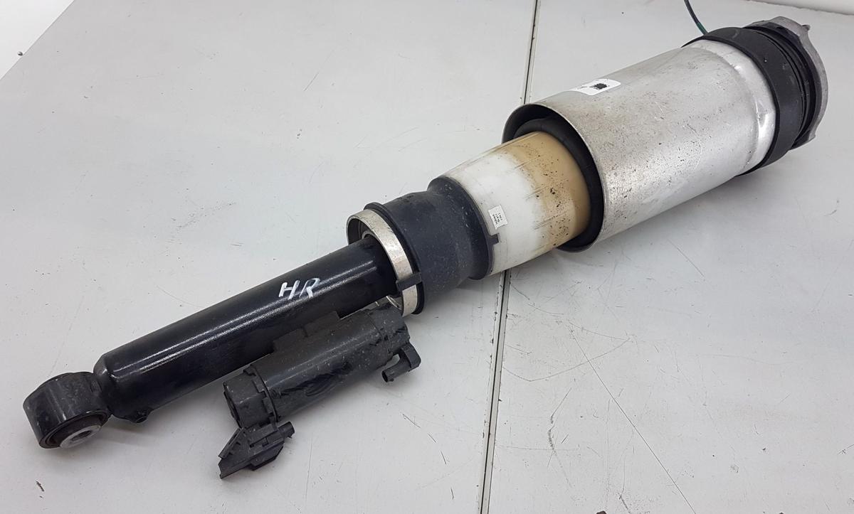 Tesla Model X Luftfederbein hinten rechts Bj2022 1620466-99-D Modell ab Bj2021
